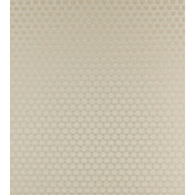 Английская ткань Clarke & Clarke, коллекция Imperiale, артикул F0867/05