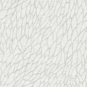 Английская ткань Clarke & Clarke, коллекция Lusso Sheers, артикул F1278/01