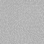 Английская ткань Clarke & Clarke, коллекция Lusso Sheers, артикул F1278/03