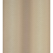 Английская ткань Clarke & Clarke, коллекция Palladio, артикул F0790/05