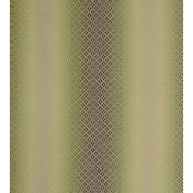 Английская ткань Clarke & Clarke, коллекция Palladio, артикул F0790/06