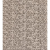 Английская ткань Clarke & Clarke, коллекция Salon, артикул F0676/04