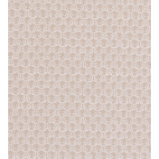 Английская ткань Clarke & Clarke, коллекция Salon, артикул F0677/02