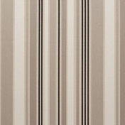 Английская ткань Clarke & Clarke, коллекция Zanzibar, артикул F0716/03