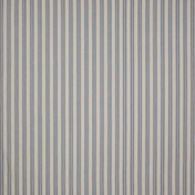 Английская ткань Colefax and Fowler, коллекция Appledore, артикул F4141/04