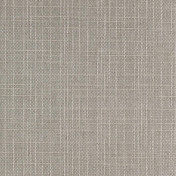 Английская ткань Colefax and Fowler, коллекция Cassian, артикул F4021/04