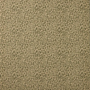 Английская ткань Colefax and Fowler, коллекция Chester, артикул F4854/05