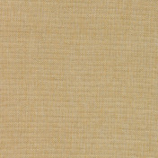 Английская ткань Colefax and Fowler, коллекция Healey, артикул F4515/09