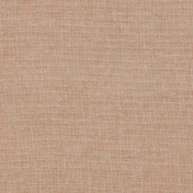 Английская ткань Colefax and Fowler, коллекция Healey, артикул F4515/11