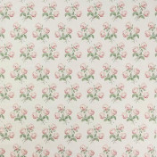 Английская ткань Colefax and Fowler, коллекция Jardine, артикул 01020/04