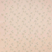 Английская ткань Colefax and Fowler, коллекция Jardine, артикул F4700/02
