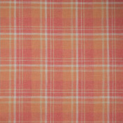 Английская ткань Colefax and Fowler, коллекция Magnus Checks, артикул F4722/02