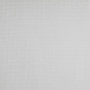 Английская ткань Colefax and Fowler, коллекция Oberon Sheers, артикул F2317/01