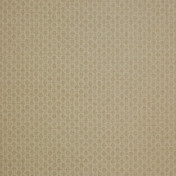 Английская ткань Colefax and Fowler, коллекция Shaw, артикул F4335/02