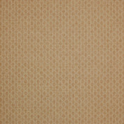 Английская ткань Colefax and Fowler, коллекция Shaw, артикул F4335/03