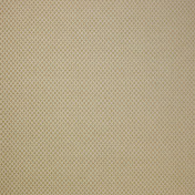 Английская ткань Colefax and Fowler, коллекция Shaw, артикул F4336/01