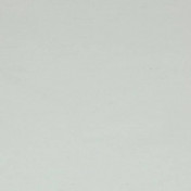 Английская ткань Colefax and Fowler, коллекция Slucerne Silks, артикул F3931/08