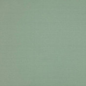 Английская ткань Colefax and Fowler, коллекция Slucerne Silks, артикул F3931/73