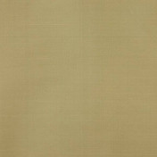 Английская ткань Colefax and Fowler, коллекция Slucerne Silks, артикул F3931/74