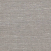 Английская ткань Colefax and Fowler, коллекция Slucerne Silks, артикул F4638/09