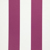 Бельгийская ткань Daylight, коллекция Amilly, артикул Amilly/Azalea