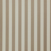 Бельгийская ткань Daylight, коллекция Amilly, артикул Vira/Rattan