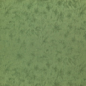 Бельгийская ткань Daylight, коллекция Avy, артикул Verrie/Cactus