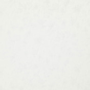 Бельгийская ткань Daylight, коллекция Avy, артикул Verrie/Wool