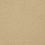 Бельгийская ткань Daylight, коллекция Avy, артикул Vertus/Biscotti