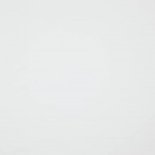 Бельгийская ткань Daylight, коллекция Basic Linings, артикул 3480012