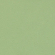 Бельгийская ткань Daylight, коллекция Basic Linings, артикул Antwerp/Linden