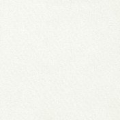 Бельгийская ткань Daylight, коллекция Basic Linings, артикул Duffel/Pearl