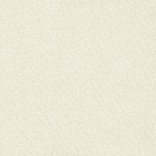 Бельгийская ткань Daylight, коллекция Basic Linings, артикул Duffel/Sand