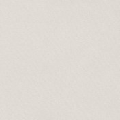 Бельгийская ткань Daylight, коллекция Basic Linings, артикул Gent/Greige