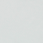 Бельгийская ткань Daylight, коллекция Basic Linings, артикул Husselt/Silver