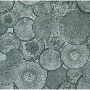 Бельгийская ткань Daylight, коллекция Bergen, артикул Roslagen/Spa