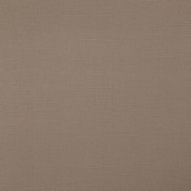 Бельгийская ткань Daylight, коллекция Canvas, артикул Bonfire/Mushroom