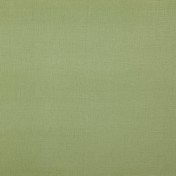 Бельгийская ткань Daylight, коллекция Canvas, артикул Bonfire/Sage