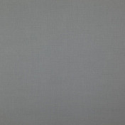 Бельгийская ткань Daylight, коллекция Canvas, артикул Bonfire/Titanium