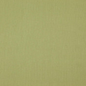 Бельгийская ткань Daylight, коллекция Canvas, артикул Canvas/Lizard