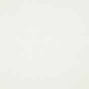 Бельгийская ткань Daylight, коллекция Canvas, артикул Canvas/Pearl