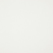 Бельгийская ткань Daylight, коллекция Canvas, артикул Canvas/Snow