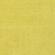Бельгийская ткань Daylight, коллекция Cassel, артикул Raville/Chartreuse