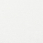 Бельгийская ткань Daylight, коллекция Cassel, артикул Raville/Ivory