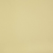 Бельгийская ткань Daylight, коллекция Colorful, артикул Colorful/Cocoon