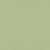 Бельгийская ткань Daylight, коллекция Colorful, артикул Colorful/Khaki