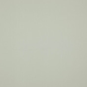 Бельгийская ткань Daylight, коллекция Colorful, артикул Colorful/Limestone