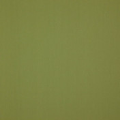 Бельгийская ткань Daylight, коллекция Colorful, артикул Colorful/Moss