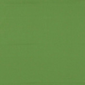 Бельгийская ткань Daylight, коллекция Colorful, артикул Colorful/Pesto