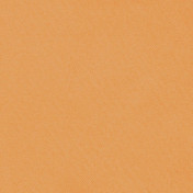 Бельгийская ткань Daylight, коллекция Colorful, артикул Colorful/Pumpkin